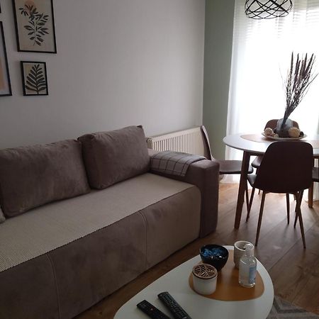Apartman Element Kruševac Exterior foto