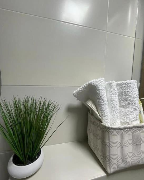 Apartman Element Kruševac Exterior foto