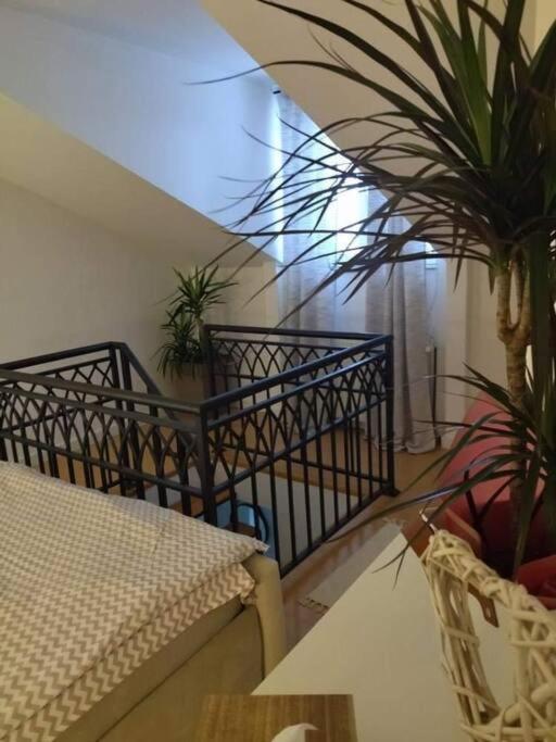 Apartman Element Kruševac Exterior foto